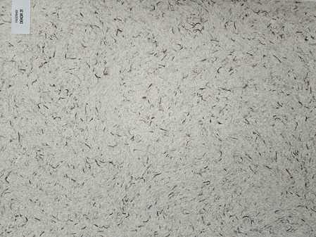 Fasermix Aktion 31